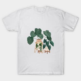 House plants collection 3.7 T-Shirt